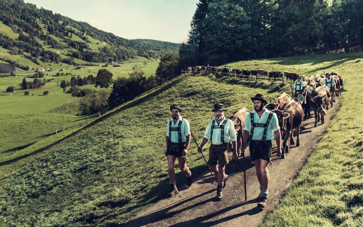 Fewo Alpenbrise, オーバーシュタウフェン エクステリア 写真