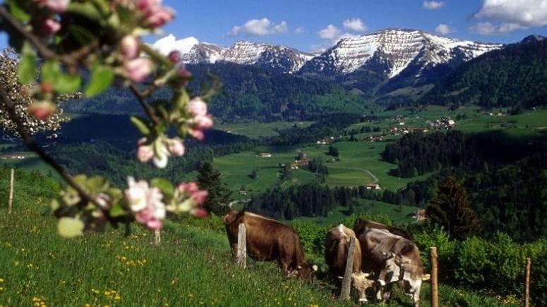 Fewo Alpenbrise, オーバーシュタウフェン エクステリア 写真